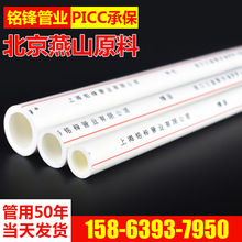燃爆全场！排舞魅力大揭秘